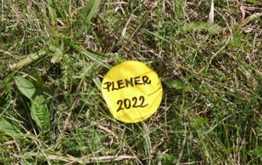 miniatura plener 2022_1