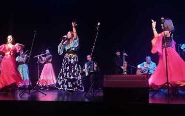 Koncert Andrzejkowy  8