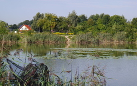 P1190430