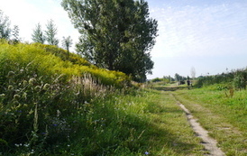 P1190425