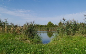 P1190424