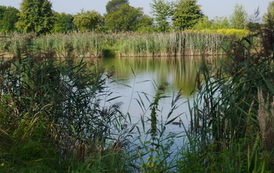P1190421