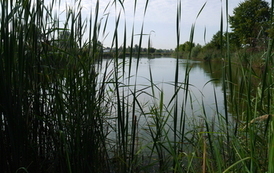 P1190408