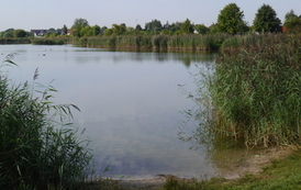 P1190406
