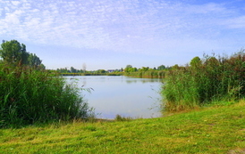 P1190404