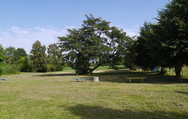 P1190403