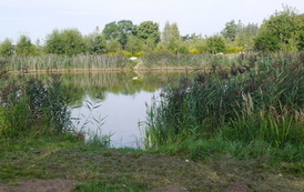 P1190395