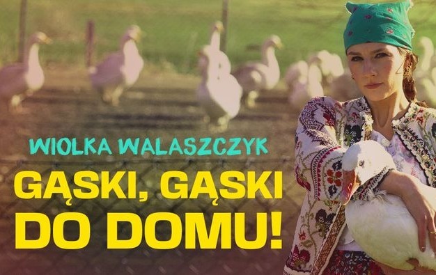 Zdjęcie do Wiolka Walaszczyk - stand-up 